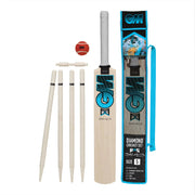 Gunn and Moore Diamond Cricket Set - Cricket shop italy